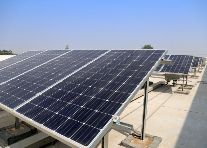 untitled design (12)