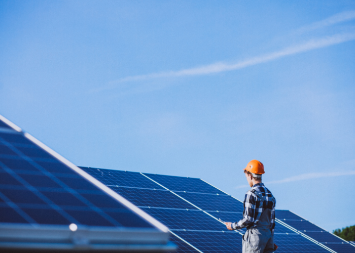 untitled design (14)